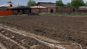 Огород с 01.09.2024 по 20.11.2025