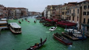Экоактивисты вместе с Гретой Тунберг окрасили воду канала в Венеции в зеленый