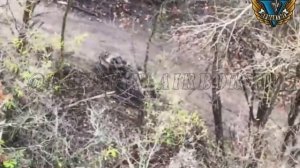 Тульские десантники не позволили ВСУ вывезти своих недобитков