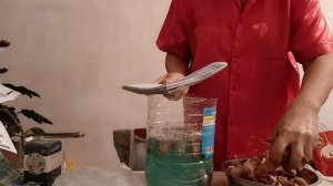 Скоро Новый Год, пора сажать чеснок!!!!! Замочила чеснок в купоросе!!;;