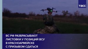 ВС РФ разбрасывают  листовки у позиций ВСУ  в Красноармейске с призывом сдаться