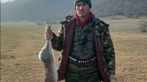 Охота на зайца