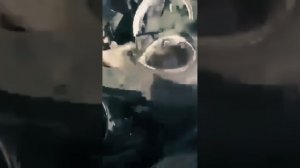 Проект " Украина пропадает без вести" против вранья