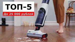 ТОП-5. Вертикальный моющий пылесос до 25 000 рублей