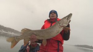 Щуки монстры на этом свале в ноябре. На такую приманку