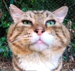 ГД будет весело заходи