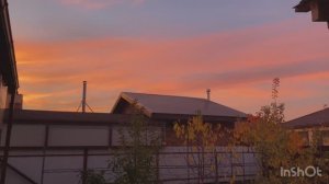 Дом на юге. Депрессия что ли. Готовим сад к зиме. Баню затопила. Деревья побелила.