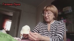 Не ценим то ,что есть// с утра всё кувырком// отвечу на комментарии
