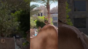 Отель Caves Hurgada 📍 Часть 3