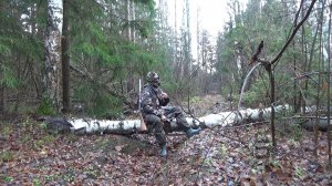 Охота на рябчика с манком. Один на 10 гектаров. Седьмой выход.