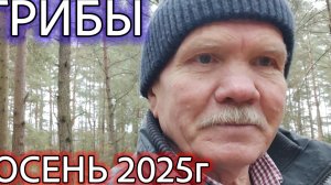 Осенние грибы 2025 г. Грибы Беларуси.