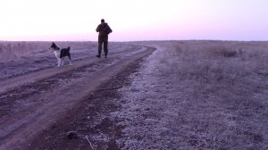 Выживание в степи , выкопал себе землянку и переночевал в ней !