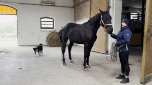 Хайвань ножки