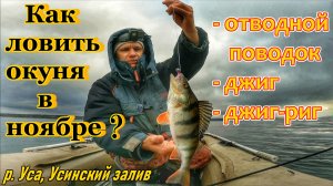 КАК ПОЙМАТЬ ОКУНЯ В НОЯБРЕ?/РЫБАЛКА В ПРЕДЗИМЬЕ/ОКУНЬ НА ОТВОДНОЙ ПОВОДОК, ДЖИГ И ДЖИГ-РИГ/РЕКА УСА