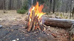 Костёр греет душу.