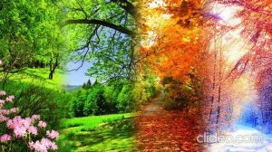 Времена года