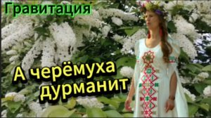 Душевная песня -  А черёмуха дурманит...