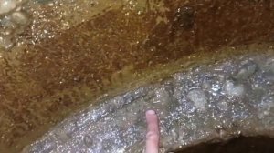 Д. Клемятимно. Чистка колодца после рукажопых мастеров. Podkapaev.ru