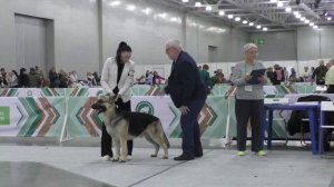 Фиелисс Ортон