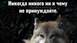 О блогере с правильной философией 🏛️ 🙏