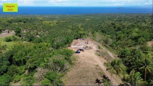 Шерлин и Финн. Стройка семейного дома на Негросе.