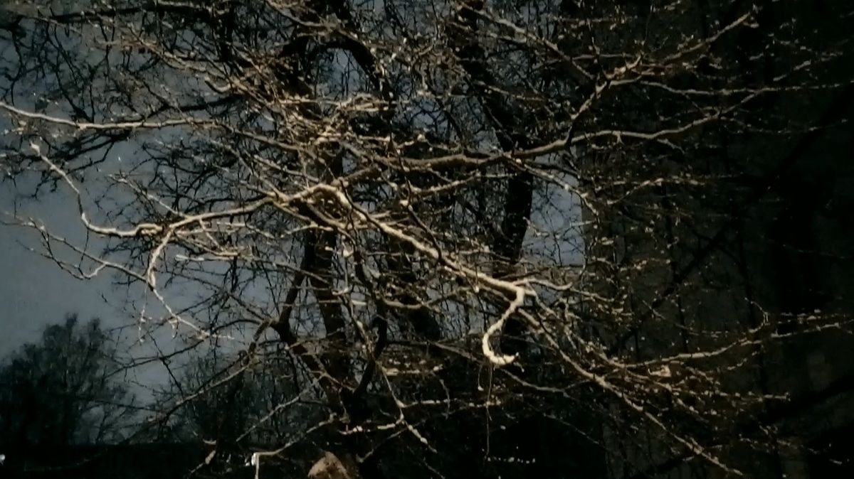 Мокрый снег...