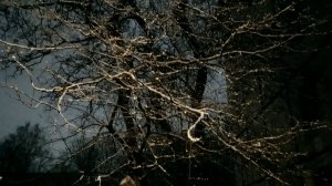 Мокрый снег...