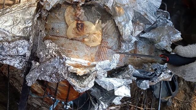Запекаем сахалинскую симу в фольге на огне смотреть онлайн