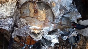 Запекаем сахалинскую симу в фольге на огне