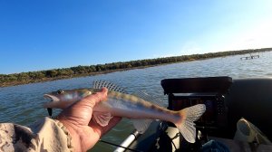 Карьер, ловля судака на тяжёлый джиг,Краснодарский Край.Судак,берш,  29.10.25