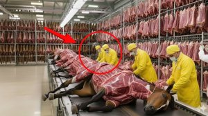 ПОЛНЫЙ ПРОЦЕСС  Внутри фабрики конской кожи – от необработанной шкуры до роскошной моды