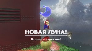 Встреча с корняком!