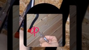 1000040885.mp4 (Собака смотрит на монтаж э/проводки (диагностику работы электрики) в доме А-фрейм)