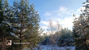 Экотерапия 61 серия.