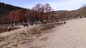 Жара на Кипарисовом озере Сукко 22 Ноября и столовая Рубль в ЖК Кипарис, которая ждёт вас на обед