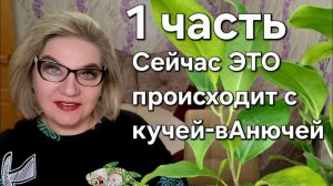 Сейчас ЭТО происходит с кучей-вАнючей❗️