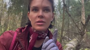 Сюрпризы осеннего леса или главный облом сезона😈