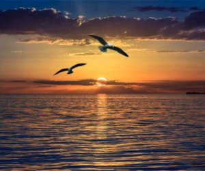 СОЧИ Прогулка по пляжу в прямом эфире