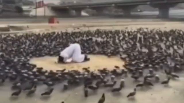 Хадисы Пророка Мухаммада с.а.в смотреть онлайн