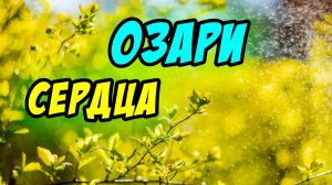 Озари сердца - Василий Савич. Христианские проповеди