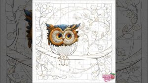 Коллекции 895-902