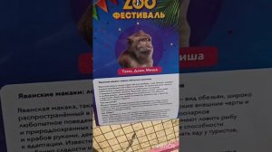 23.11.2025 Поход на зоо выставку в Мегастрое