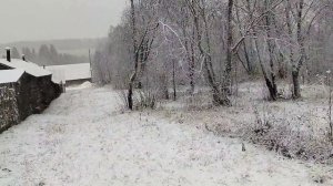 23.11.2025 с. Бым. Кунгурский р-он. Пермский край