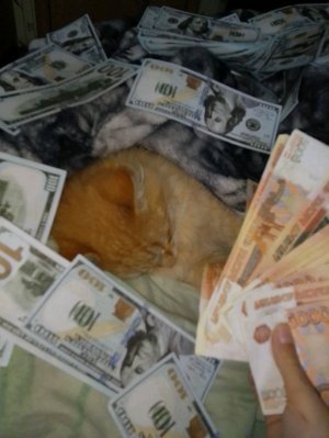 прохожу мега испытания