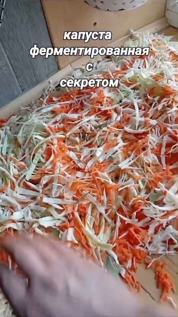 Ферментированная капуста смотреть онлайн