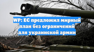 WP: ЕС предложил мирный план без ограничений для украинской армии