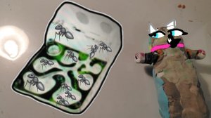 Мега распаковка посылок! У нас появились муравьи! И собака Хаска!