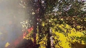 Прохажу привет сосед в роблокс альфа!