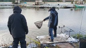 VID_20251123_121529_425