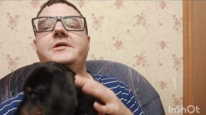 Обо всем болталка и про мою новую собаку Такса